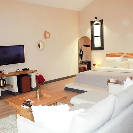 Hotell Goelevi *